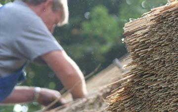 professional Wallbridge Park thatchers