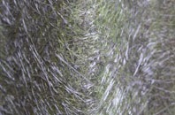 Wallbridge Park fibreglass roof work